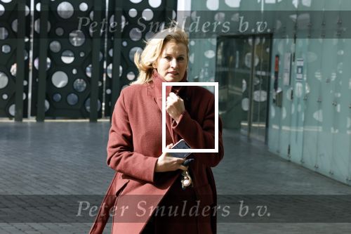 Amsterdam 7 april 2022
Presentatie kledinglijn van Shoeby in samenwerkin met Lonneke Nooteboom. Anouk Smulders