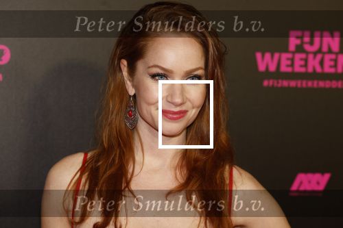 Amsterdam 16 januari 2023
Premiere Fijn weekend in Tuschinski.
De cast bestaat uit oa Sarah Chronis Carolien Spoor Jon karthaus Lisa Zweerman Steef de Bot Kay Greidanus en Aus Greidanus sr. Bertrie Wierenga