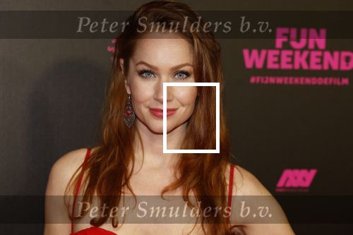 Amsterdam 16 januari 2023
Premiere Fijn weekend in Tuschinski.
De cast bestaat uit oa Sarah Chronis Carolien Spoor Jon karthaus Lisa Zweerman Steef de Bot Kay Greidanus en Aus Greidanus sr. Bertrie Wierenga