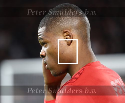 Eindhoven, 24 Oktober 2019
PSV-Lask Linz, eindstand 0-0
Uefa Europa League Groepsfase
Denzel Dumfries
Fotopersbureau Peter Smulders BV