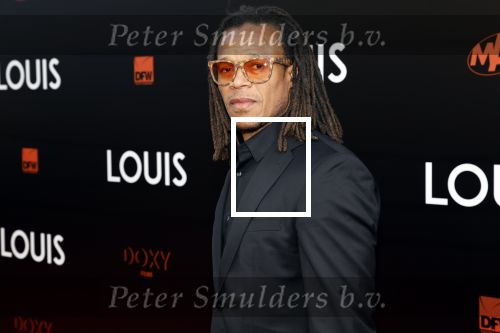 Amsterdam 11 april 2022
Premiere documentaire Louis  over het leven van Louis v Gaal in Tuschinski. Louis kwam samen met zijn vrouw Truus. Edgar davids