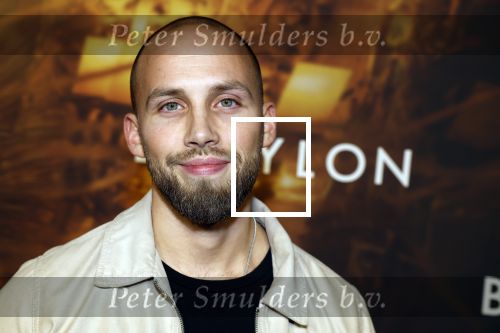 Amsterdam 9 januari 2022
Premiere Babylon in Tuschinski.
Edino v Dorsten