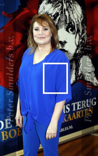 Almere 3 januari 2022
Presentatie cast Les Miserables in Almere .
Ellen Pieters