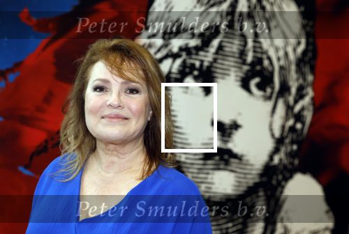 Almere 3 januari 2022
Presentatie cast Les Miserables in Almere .
Ellen Pieters