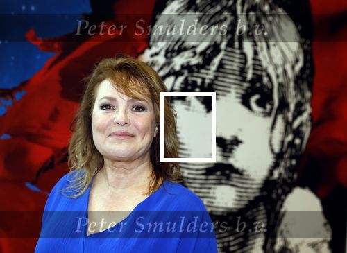 Almere 3 januari 2022
Presentatie cast Les Miserables in Almere .
Ellen Pieters