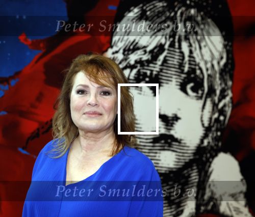 Almere 3 januari 2022
Presentatie cast Les Miserables in Almere .
Ellen Pieters