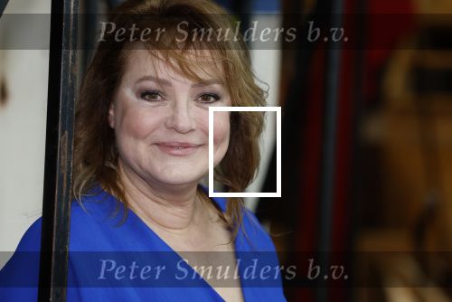 Almere 3 januari 2022
Presentatie cast Les Miserables in Almere .
Ellen Pieters