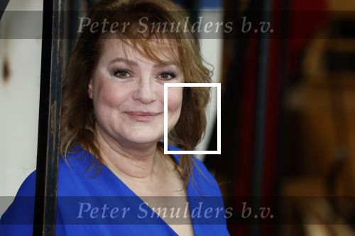 Almere 3 januari 2022
Presentatie cast Les Miserables in Almere .
Ellen Pieters