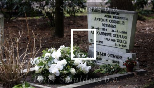 Bilthoven 7 januari 2023
Graf Willem Oltmans