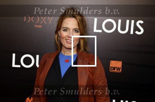 Amsterdam 11 april 2022
Premiere documentaire Louis  over het leven van Louis v Gaal in Tuschinski. Louis kwam samen met zijn vrouw Truus. Ilse warringa
