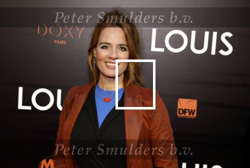 Amsterdam 11 april 2022
Premiere documentaire Louis  over het leven van Louis v Gaal in Tuschinski. Louis kwam samen met zijn vrouw Truus. Ilse warringa