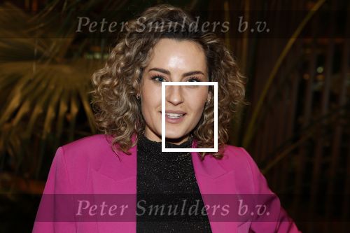 Amsterdam 6 januari 2023
Echte Meisjes In De Jungle 2023,  
Presentatie was in hotel Jakarta.
Iris Rulkens
