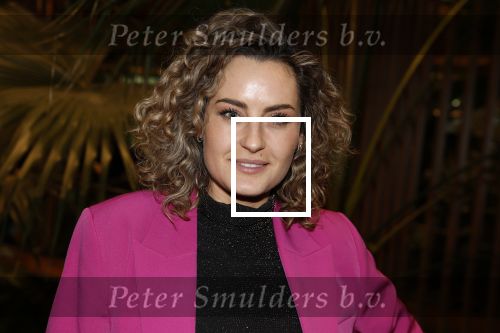 Amsterdam 6 januari 2023
Echte Meisjes In De Jungle 2023,  
Presentatie was in hotel Jakarta.
Iris Rulkens