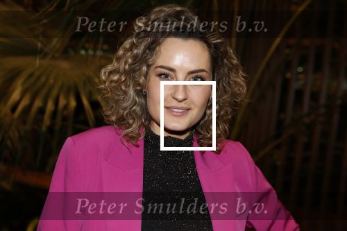 Amsterdam 6 januari 2023
Echte Meisjes In De Jungle 2023,  
Presentatie was in hotel Jakarta.
Iris Rulkens