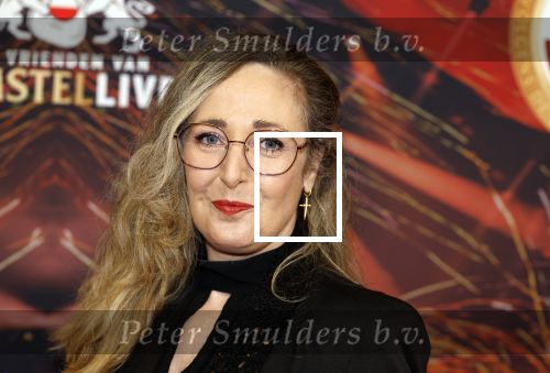 Rotterdam 5 januari 2023
25 jaar vrienden van Amstel Live in ahoy.
Isabelle Brinkman