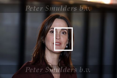 Hilversum 9 januari 2023
Arjan Lubach wordt bij beeld en Geluid gekozen tot mediapersoon van 2022. Andre v Duin reikt hem de prijs uit . Jeanine Abbring