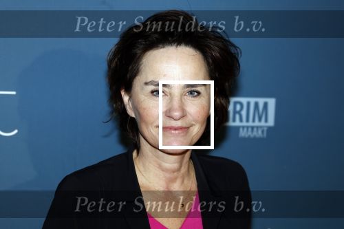Amsterdam 23 januari 2023
Premiere Smelt met in de hoofdrol Ernst Daniel Smid.
De feestelijke premiere vond plaats in Tuschinski. Jet de Nijs