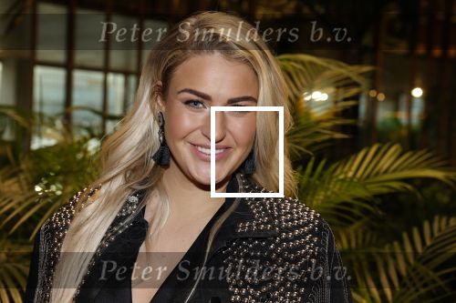 Amsterdam 6 januari 2023
Echte Meisjes In De Jungle 2023,  
Presentatie was in hotel Jakarta.
Jill Goede