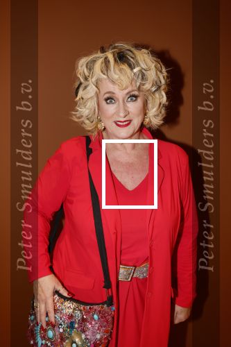 Amsterdam 23 december 2022
Premiere Francis v Broekhuizen in Beurs v Berlage.
Karin Bloemen