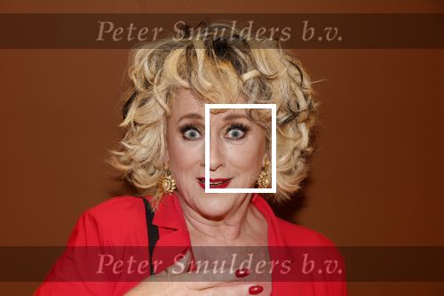 Amsterdam 23 december 2022
Premiere Francis v Broekhuizen in Beurs v Berlage.
Karin Bloemen