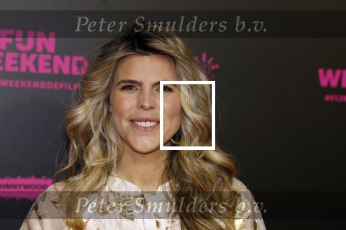 Amsterdam 16 januari 2023
Premiere Fijn weekend in Tuschinski.
De cast bestaat uit oa Sarah Chronis Carolien Spoor Jon karthaus Lisa Zweerman Steef de Bot Kay Greidanus en Aus Greidanus sr. Kim Kotter