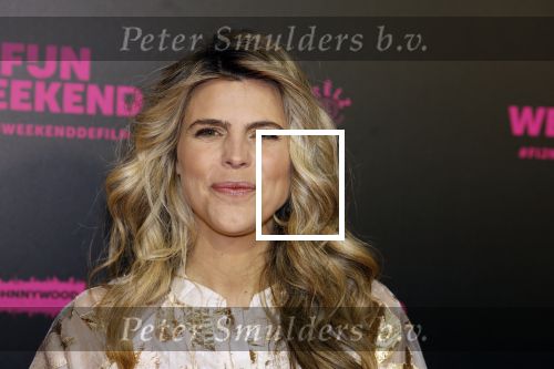 Amsterdam 16 januari 2023
Premiere Fijn weekend in Tuschinski.
De cast bestaat uit oa Sarah Chronis Carolien Spoor Jon karthaus Lisa Zweerman Steef de Bot Kay Greidanus en Aus Greidanus sr. Kim Kotter