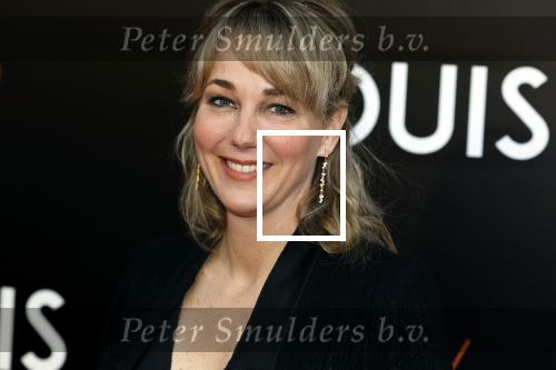 Amsterdam 11 april 2022
Premiere documentaire Louis  over het leven van Louis v Gaal in Tuschinski. Louis kwam samen met zijn vrouw Truus. Marianne Timmer