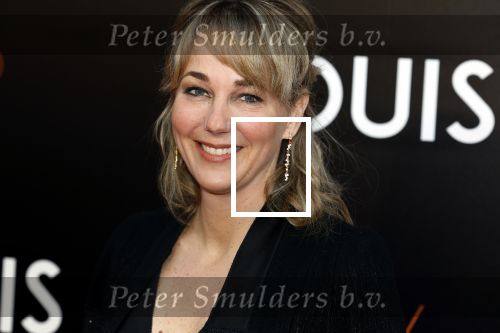 Amsterdam 11 april 2022
Premiere documentaire Louis  over het leven van Louis v Gaal in Tuschinski. Louis kwam samen met zijn vrouw Truus. Marianne Timmer