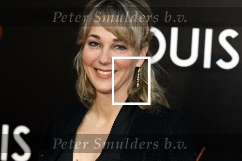 Amsterdam 11 april 2022
Premiere documentaire Louis  over het leven van Louis v Gaal in Tuschinski. Louis kwam samen met zijn vrouw Truus. Marianne Timmer
