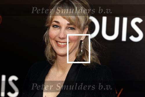 Amsterdam 11 april 2022
Premiere documentaire Louis  over het leven van Louis v Gaal in Tuschinski. Louis kwam samen met zijn vrouw Truus. Marianne Timmer