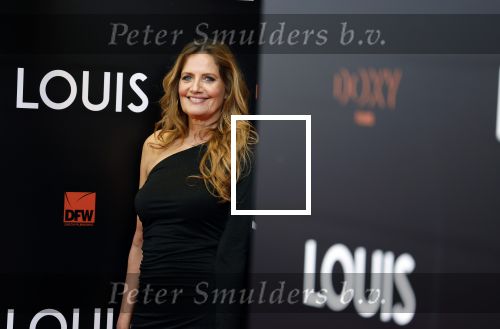 Amsterdam 11 april 2022
Premiere documentaire Louis  over het leven van Louis v Gaal in Tuschinski. Louis kwam samen met zijn vrouw Truus. Mariska Hulscher