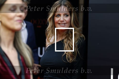 Amsterdam 11 april 2022
Premiere documentaire Louis  over het leven van Louis v Gaal in Tuschinski. Louis kwam samen met zijn vrouw Truus. Mariska Hulscher
