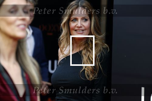 Amsterdam 11 april 2022
Premiere documentaire Louis  over het leven van Louis v Gaal in Tuschinski. Louis kwam samen met zijn vrouw Truus. Mariska Hulscher