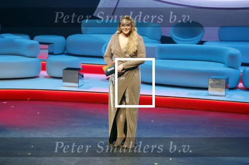 Leusden 11 april 2022
Uitreiking edisons in het AFAS theater. Nikkie de Jager