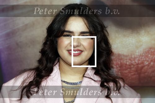 Hilversum 19 december 2022
The roast van Famke Louise in studio 21.
Numidia El Morabet