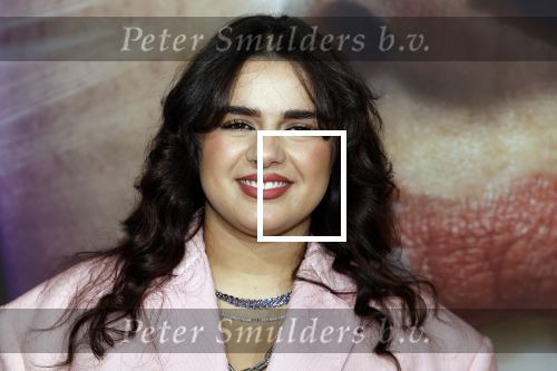 Hilversum 19 december 2022
The roast van Famke Louise in studio 21.
Numidia El Morabet