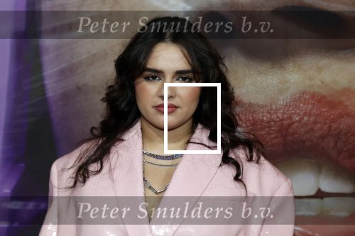 Hilversum 19 december 2022
The roast van Famke Louise in studio 21.
Numidia El Morabet