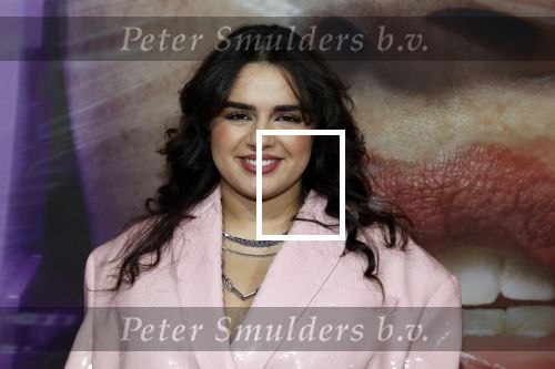 Hilversum 19 december 2022
The roast van Famke Louise in studio 21.
Numidia El Morabet