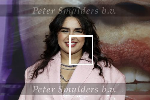 Hilversum 19 december 2022
The roast van Famke Louise in studio 21.
Numidia El Morabet