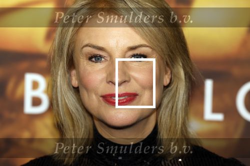 Amsterdam 9 januari 2022
Premiere Babylon in Tuschinski.
Pernille la Lau