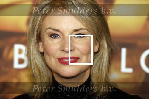 Amsterdam 9 januari 2022
Premiere Babylon in Tuschinski.
Pernille la Lau