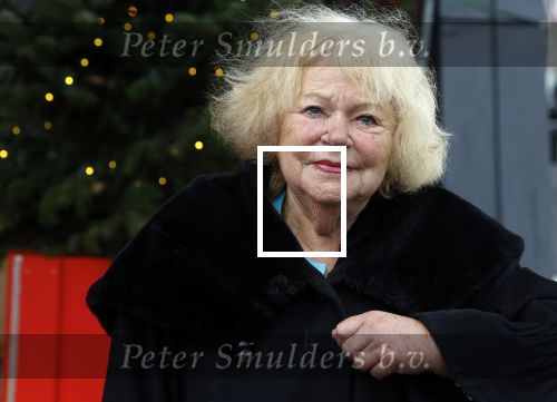 Hilversum 29 december 2022
Bij Beeld en Geluid op het mediapark  konden mensen afscheid nemen van Han Peekel . Tineke de Nooij
