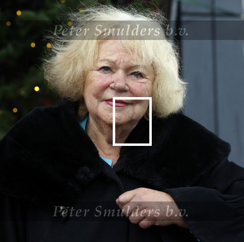 Hilversum 29 december 2022
Bij Beeld en Geluid op het mediapark  konden mensen afscheid nemen van Han Peekel . Tineke de Nooij