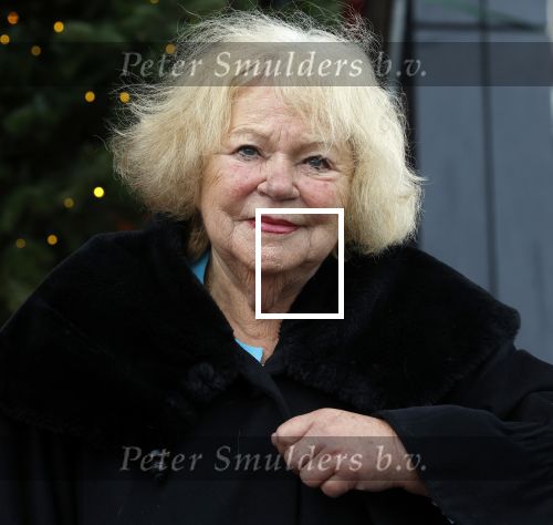 Hilversum 29 december 2022
Bij Beeld en Geluid op het mediapark  konden mensen afscheid nemen van Han Peekel . Tineke de Nooij