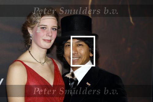 Amsterdam 9 januari 2022
Premiere Babylon in Tuschinski.
Wibi Soerjadi met zijn vriendin