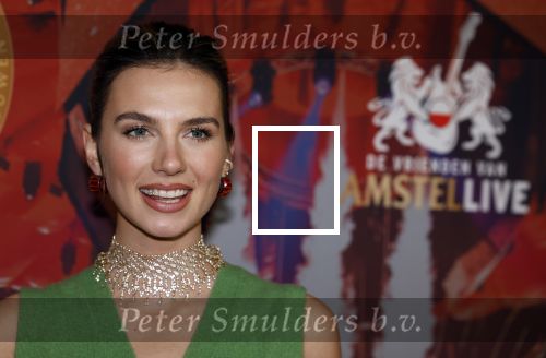Rotterdam 5 januari 2023
25 jaar vrienden van Amstel Live in ahoy.
Maan de Steenwinkel