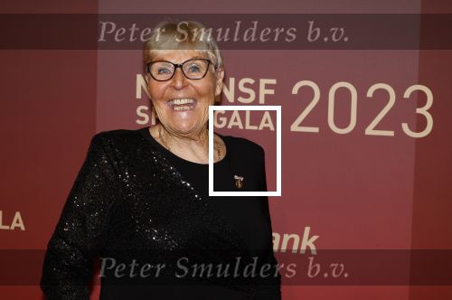 Utrecht 20 december 2023
Sportman / sportvrouw van jaar gala . Ada Kok kreeg een ouvre award en kwam samen met haar man Math