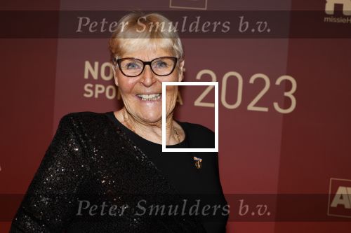 Utrecht 20 december 2023
Sportman / sportvrouw van jaar gala . Ada Kok kreeg een ouvre award en kwam samen met haar man Math