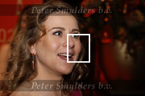 Utrecht 20 december 2023
Sportman / sportvrouw van jaar gala . 
Annemiek v Vleuten