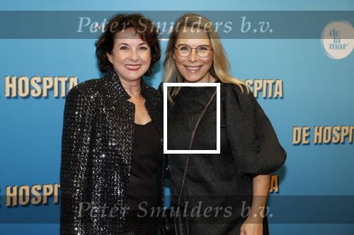 Amsterdam 4 december 2023
Premiere de hospita in het nieuwe delamar theater. Annemieke Ruijten en Elle v Rijn